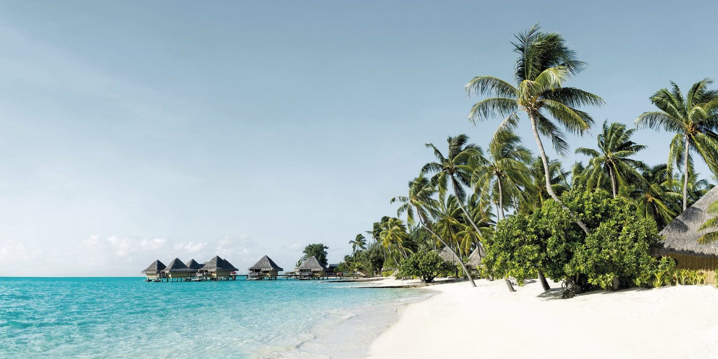 Tropical Maldives beach with crystal-clear turquoise water, white sand, and palm trees under a bright blue sky.