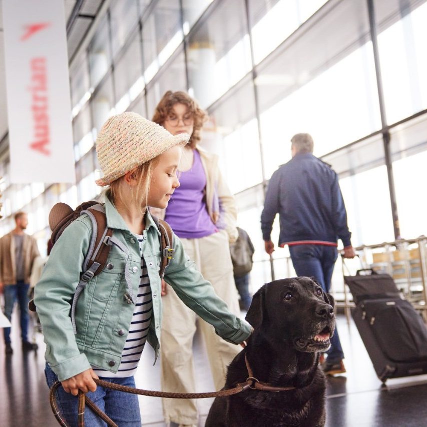 Young girl walking a black dog on a leash in an airport terminal.