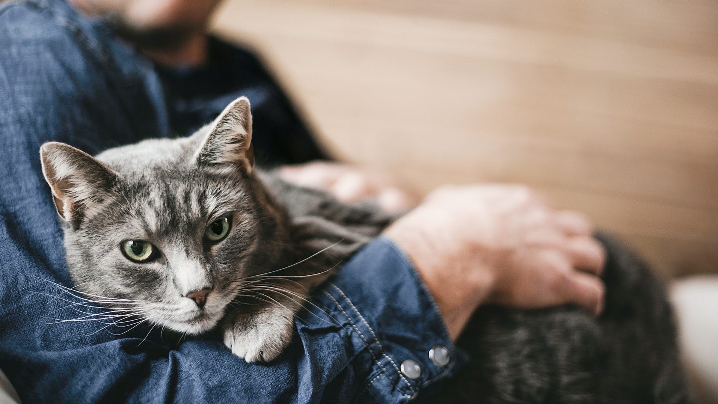 Man holds cat in his arms