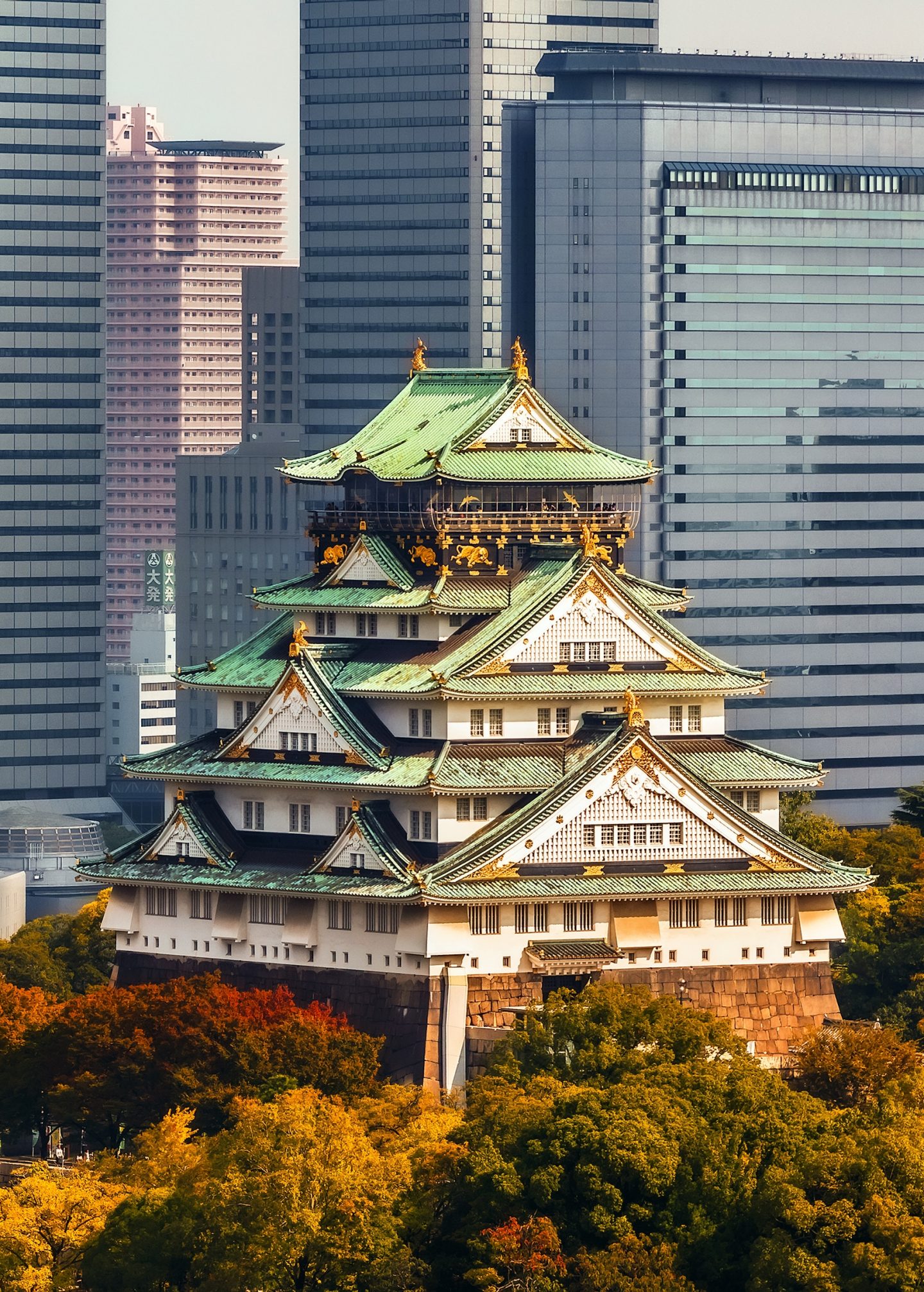Osaka Castle in Osaka, Japan
OSAKA, JAPAN - OCTOBER 27: Osaka Castle in Osaka, Japan on October 27, 2014. One of Japan's most famous and played a major role in the unification of Japan during the 16th century